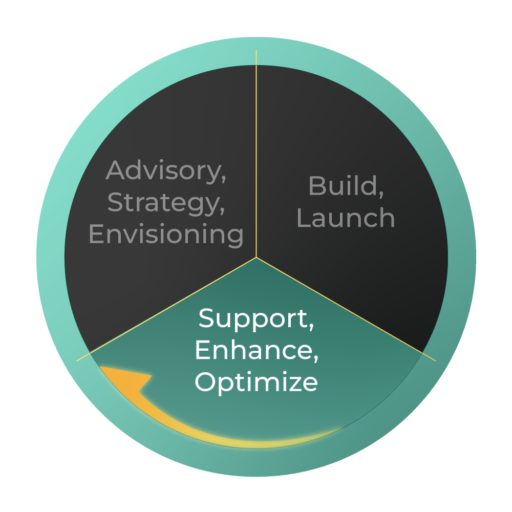 Support, Enhance, Optimize-Phase 3 of the Digital Innovation Lifecycle